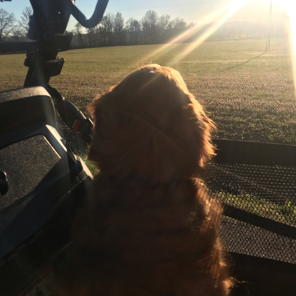 Meet your Posher, Christie